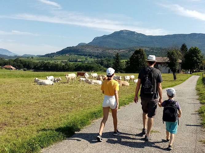 Boucle du Château de Choisel