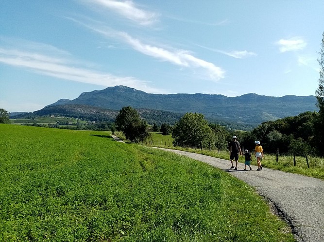 Boucle du Château de Choisel