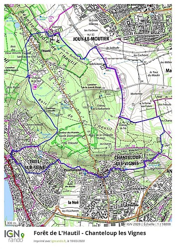 78 - FORET DE L'HAUTIL - CHANTELOUP LES VIGNES