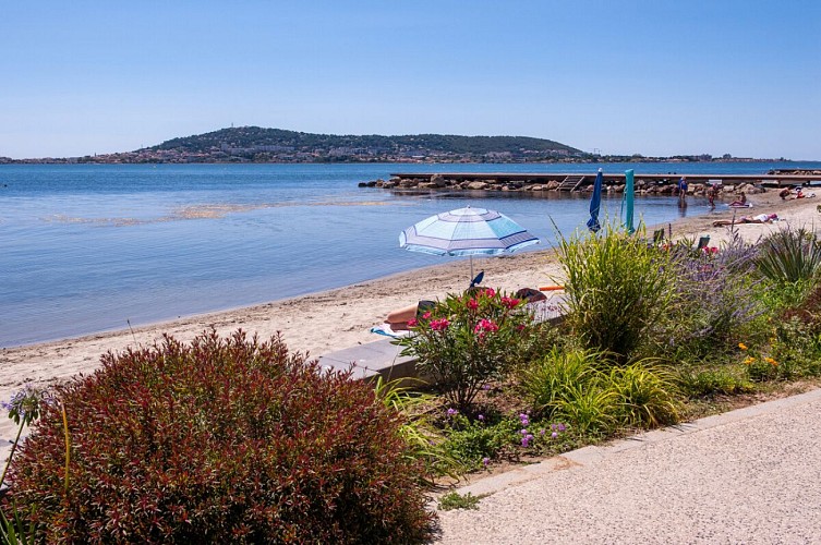 Plage-M_RICARD_OT-THAU-23021-1200px