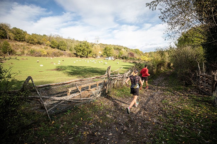 Les côtes de Chanturgue