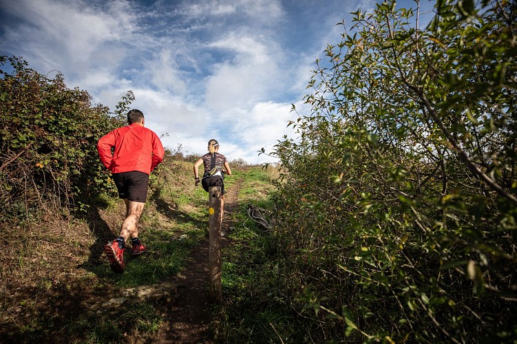 Les côtes de Chanturgue