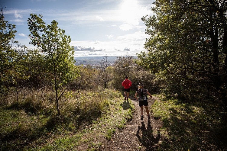 Les côtes de Chanturgue