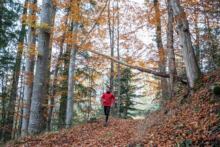 Le grand tour du Cunlhat