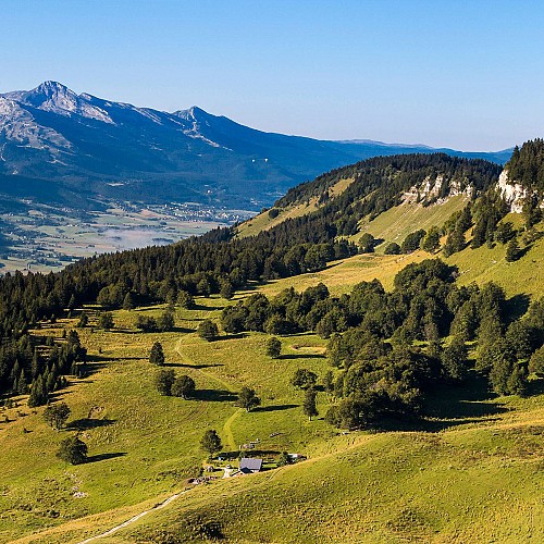 L'alpage de la Molière