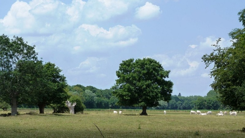 Châtillon-sur-Loire