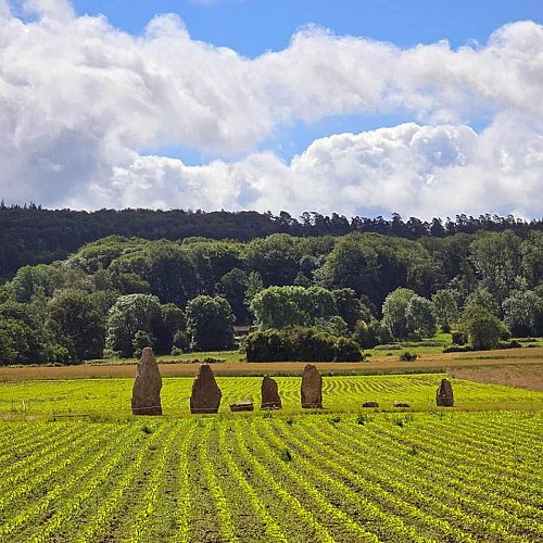 494771583_1295051829290081_7959776092605925608_n