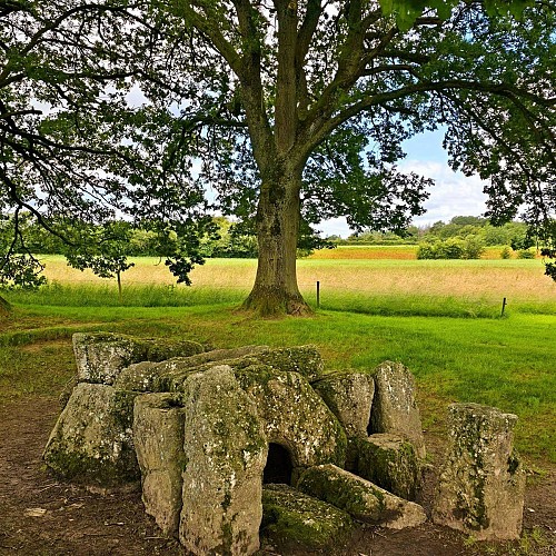 494175557_1295051775956753_6622348697837246567_n