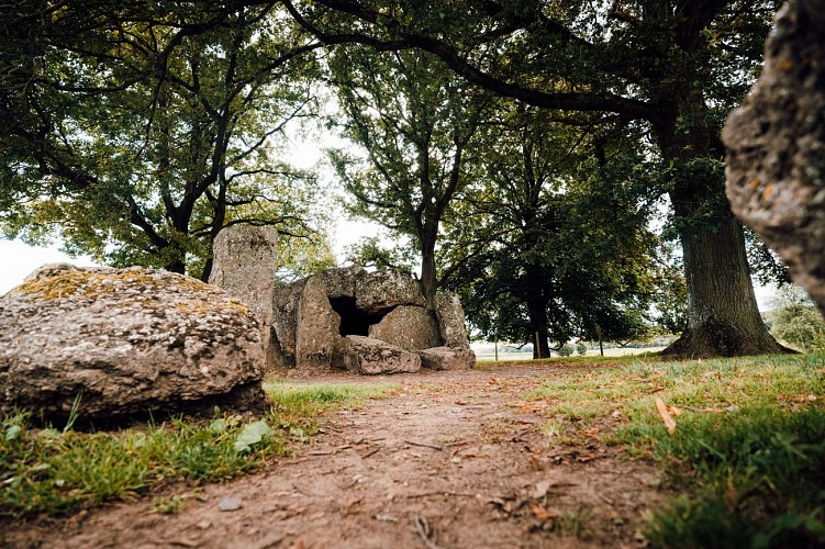 2024 - Famenne Ardennes - Mégalytes Wéry38