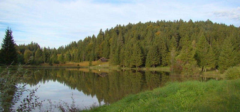 Les Etangs du Bois du Roy, boucle 8