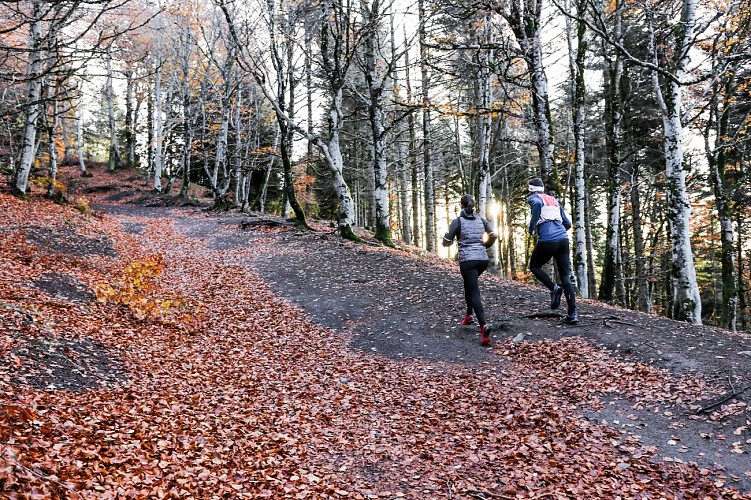 La boucle des Dômes
