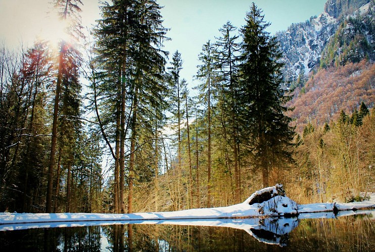 Wandelroute : De chalets van Boret en de Bout du Monde