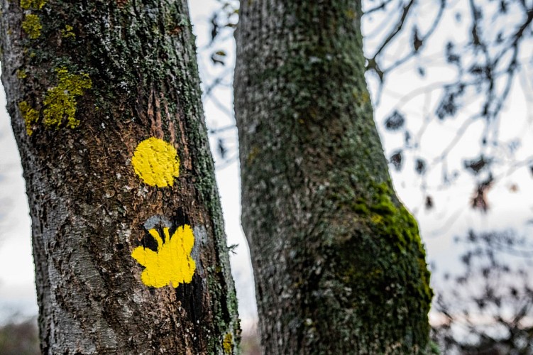 Autour du plateau de Gergovie