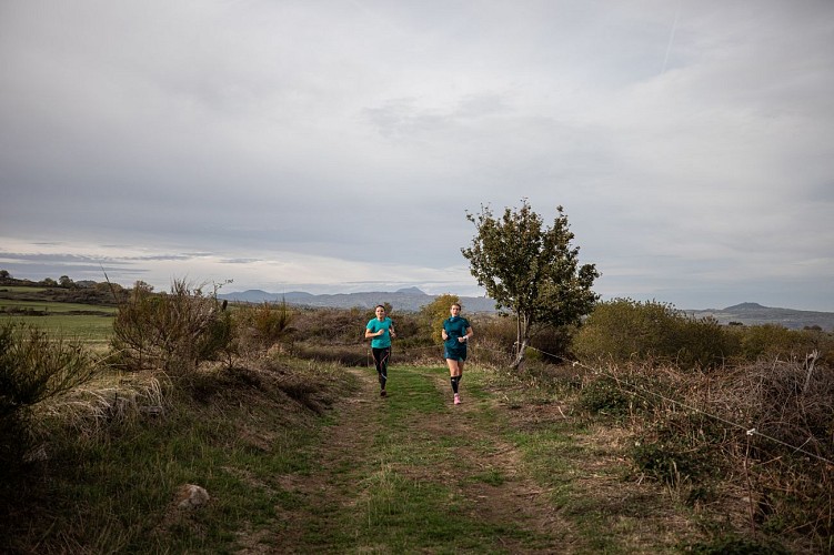 Sur les hauteurs de Champeix