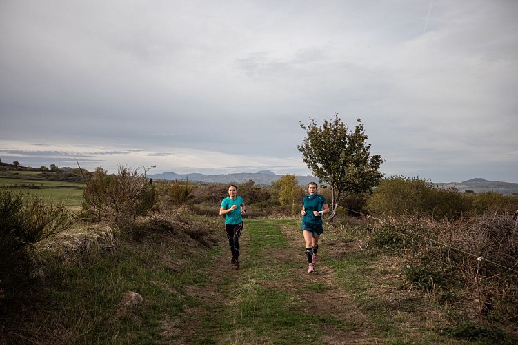 Sur les hauteurs de Champeix