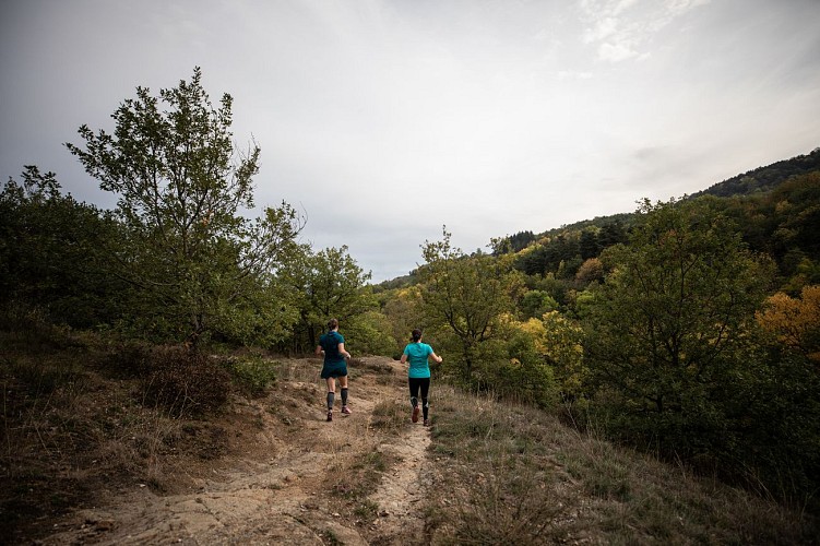 Sur les hauteurs de Champeix