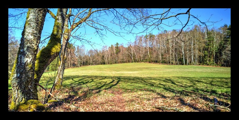 Harreberg - Les Picards