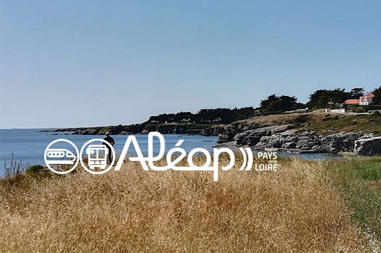 PREFAILLES  La pointe Saint-Gildas en 1 jour