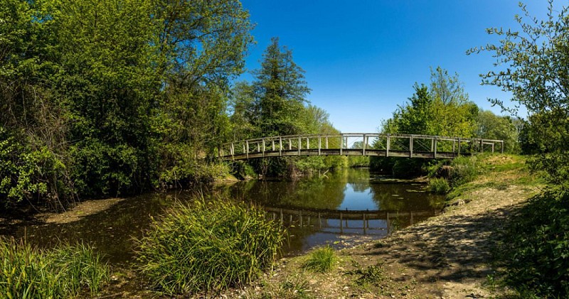 Sentier Entre Petite Maine et Doulay - Chavagnes-en-Paillers