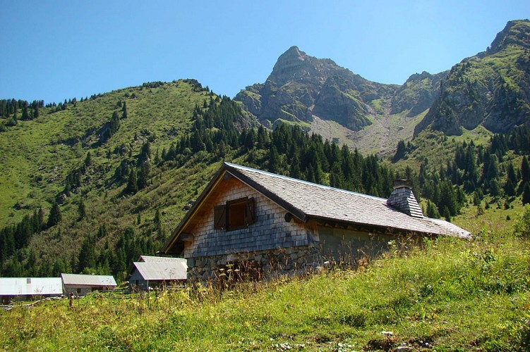 Thematic walk : "on the tracks of the Chamois - La Chapelle d'Abondance