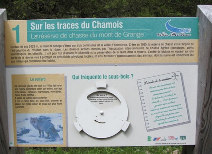 Sur les traces du Chamois