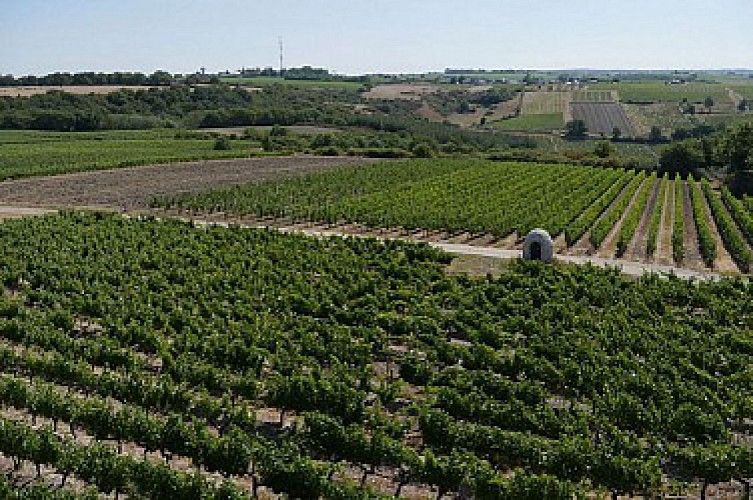 De CHALONNES-SUR-LOIRE à GENNES en 3 jours