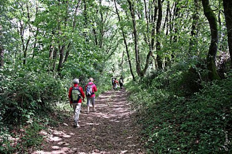 De CHALONNES-SUR-LOIRE à GENNES en 3 jours