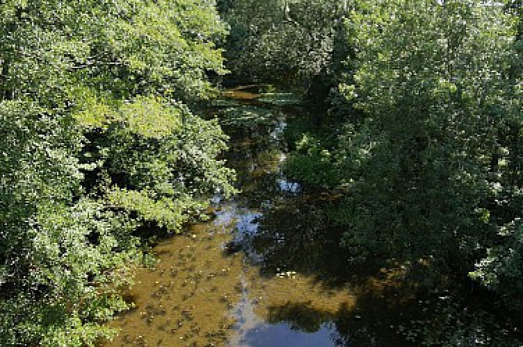 De CHALONNES-SUR-LOIRE à GENNES en 3 jours