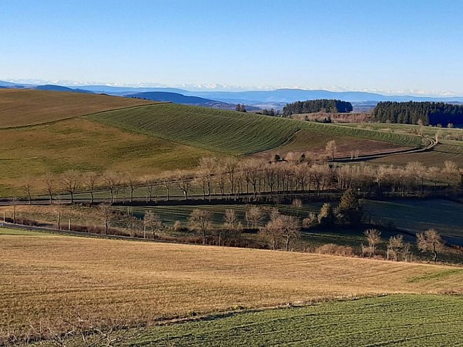 Vue côté sud sur les Pyrénées