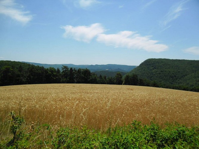 Panorama depuis le causse