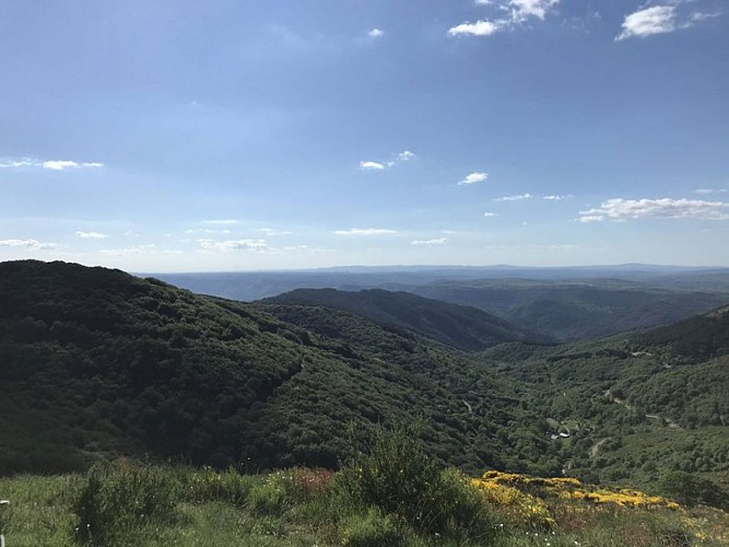 Panorama sur les Causses et les Cévennes