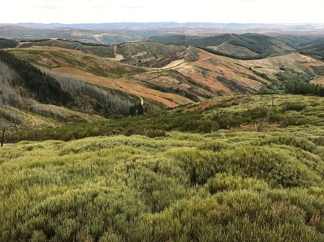 Panorama sur les Causses et les Cévennes