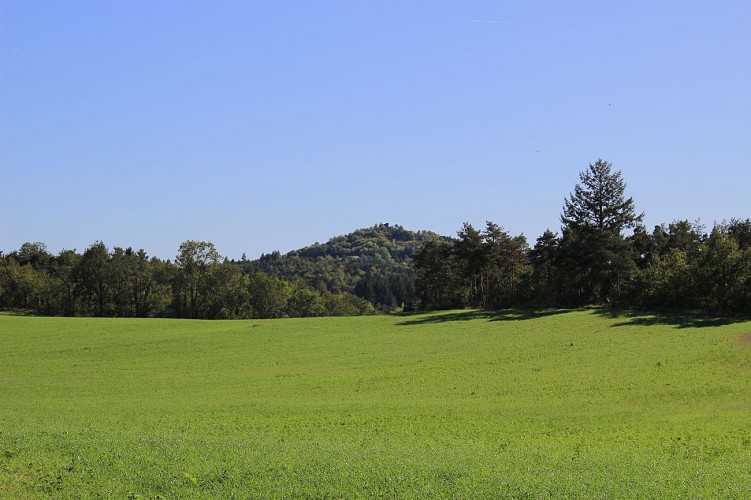 Balade à Lézigneux