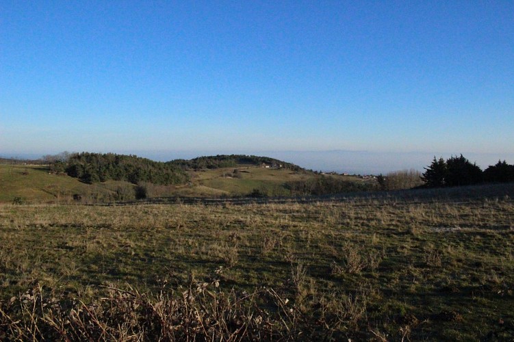 Lézigneux et Pic de Janeysset