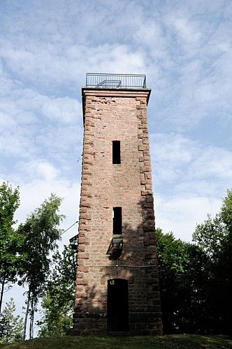 US Trail 2 : l'Avison ou Hill D