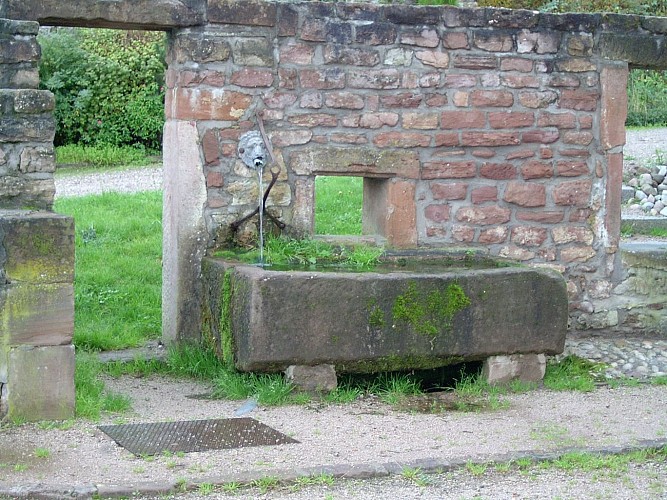 VTT n°3 - L'Équi'Vall