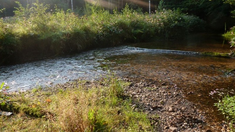 N°27 : the rocks of contimpierre