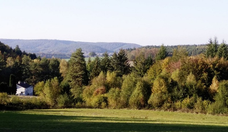 Vue depuis les hauteurs de Fiménil dans les Vosges. Idée rando Bruyères