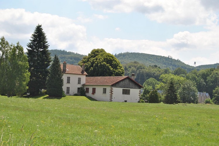 Vue depuis les hauteurs de Fiménil dans les Vosges. Idée rando Bruyères