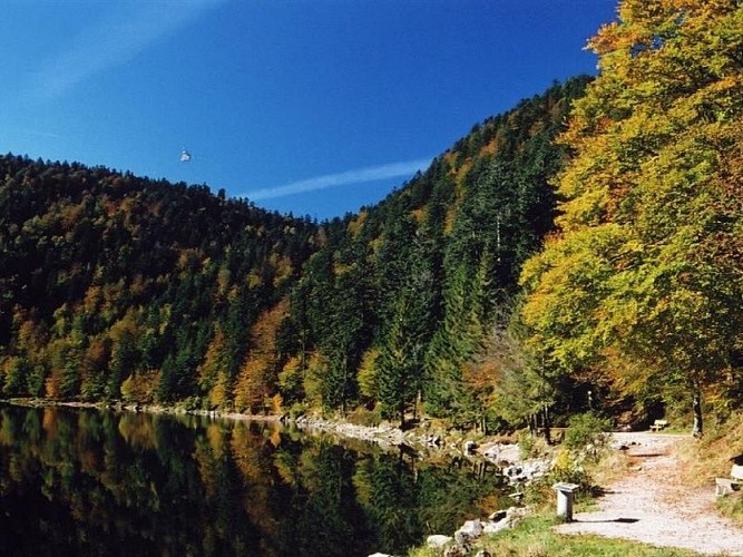 STRECKE DER WASSERKREISLAUF UND WASSERKRAFT