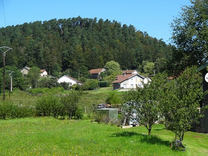 N°16 : the forfeleuse loop