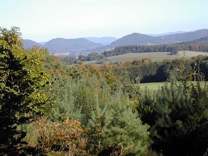 N°16 : the forfeleuse loop