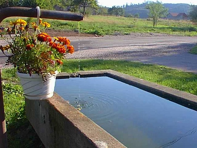 Rando n°15 - Circuit des Forfeleuses