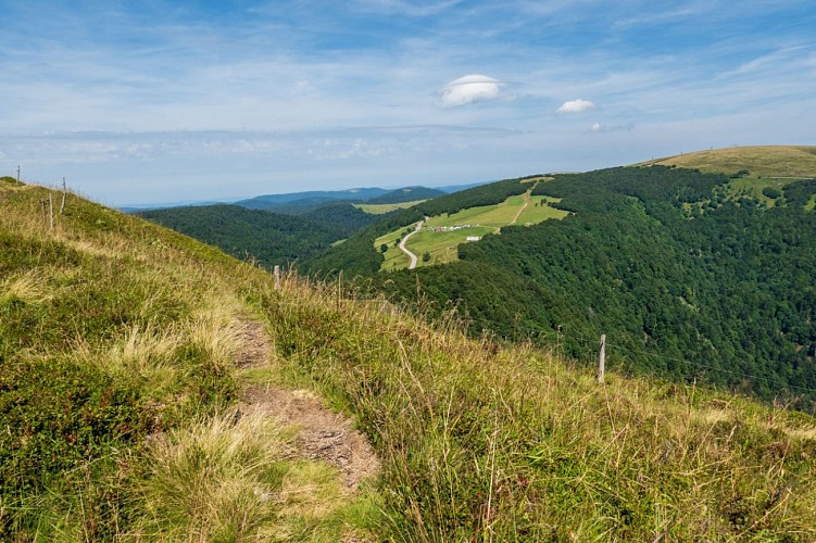 Trail circuit n°8 le Rainkopf