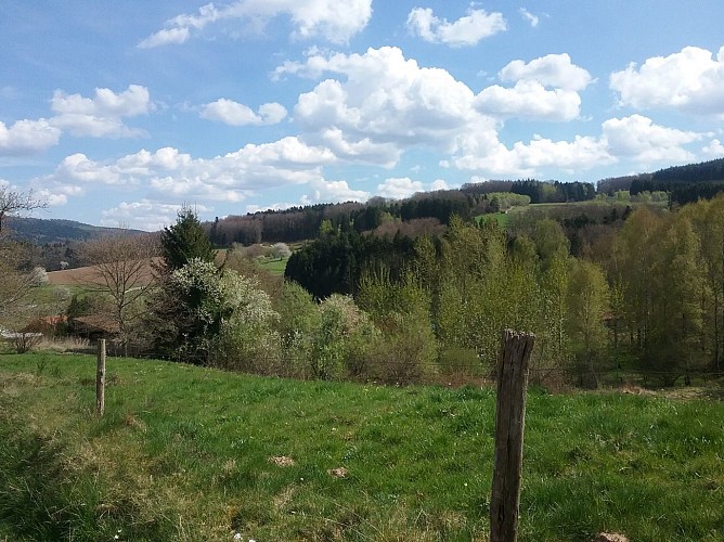 Rando n°21 - Circuit de l'Hérigoutte