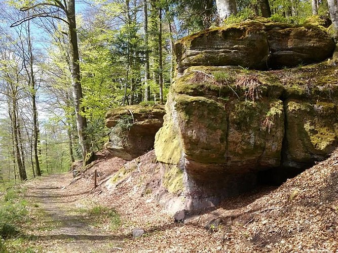 N°18 - LE HAUT DU BOIS