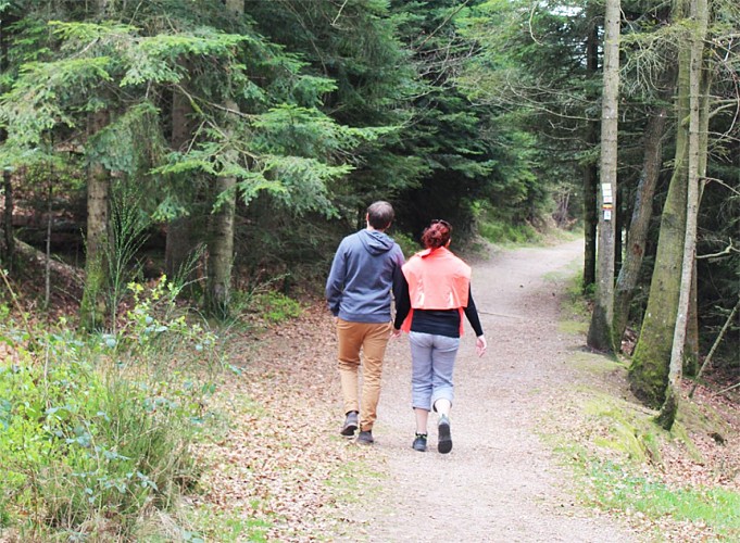 Idée rando dans la région de Bruyères dans les Vosges