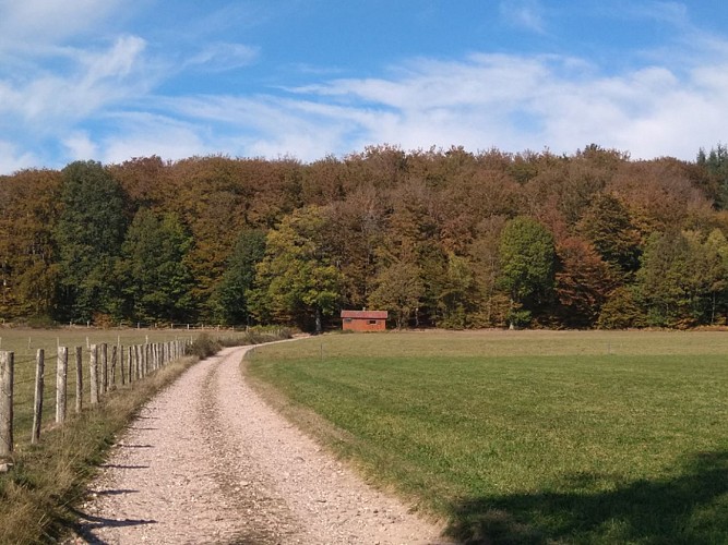 Départ de la randonné au chalet de chasse de Lépanges-sur-Vologne