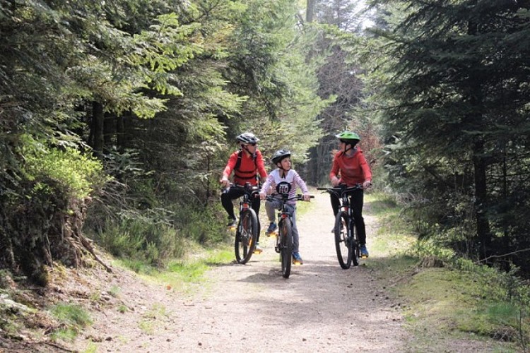 VTT n°14 - L'Esti'Vall