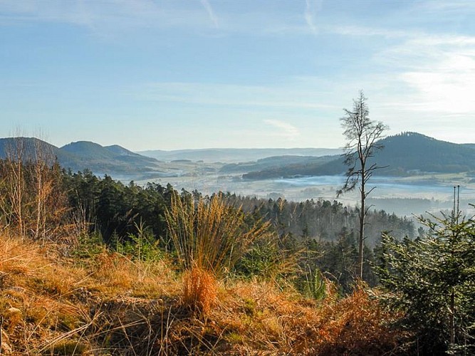 US TRAIL 3 : COL DE L'ARNELLE